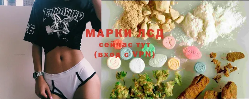 omg рабочий сайт  Алексин  Лсд 25 экстази ecstasy  наркота 